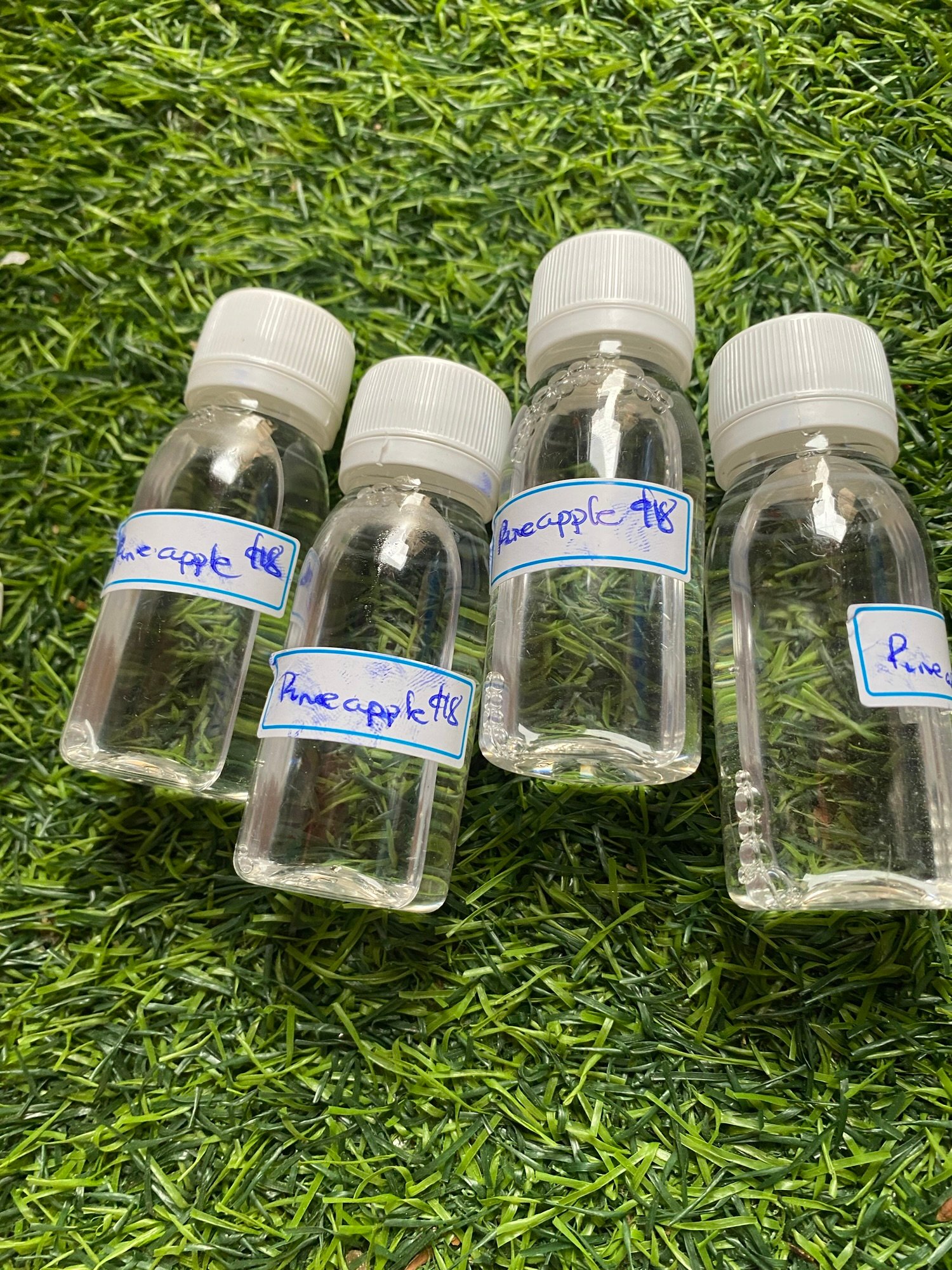 Fragrance (cosmetic use) - Image 3