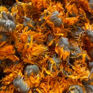Calendula Herbs