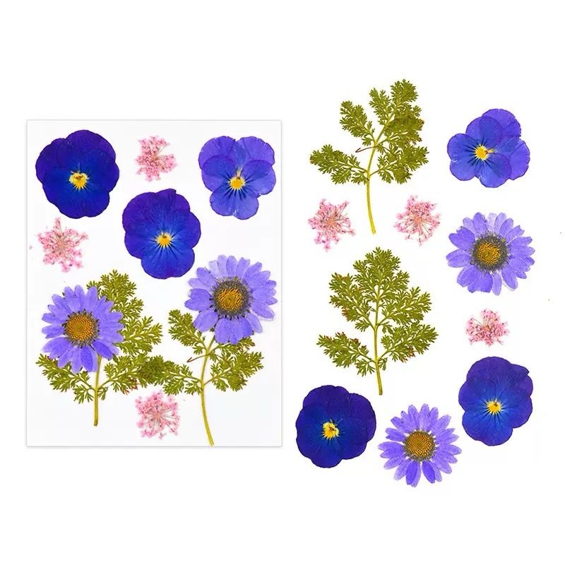Pressed Decorative Flowers
