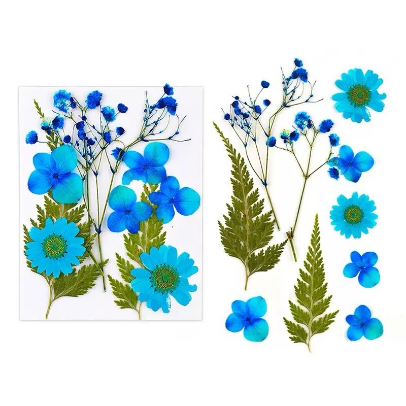 Pressed Decorative Flowers