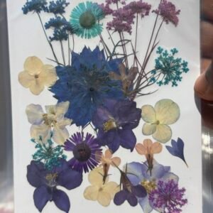 Pressed Decorative Flowers