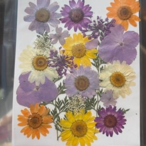 Pressed Decorative Flowers