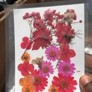 Pressed Decorative Flowers