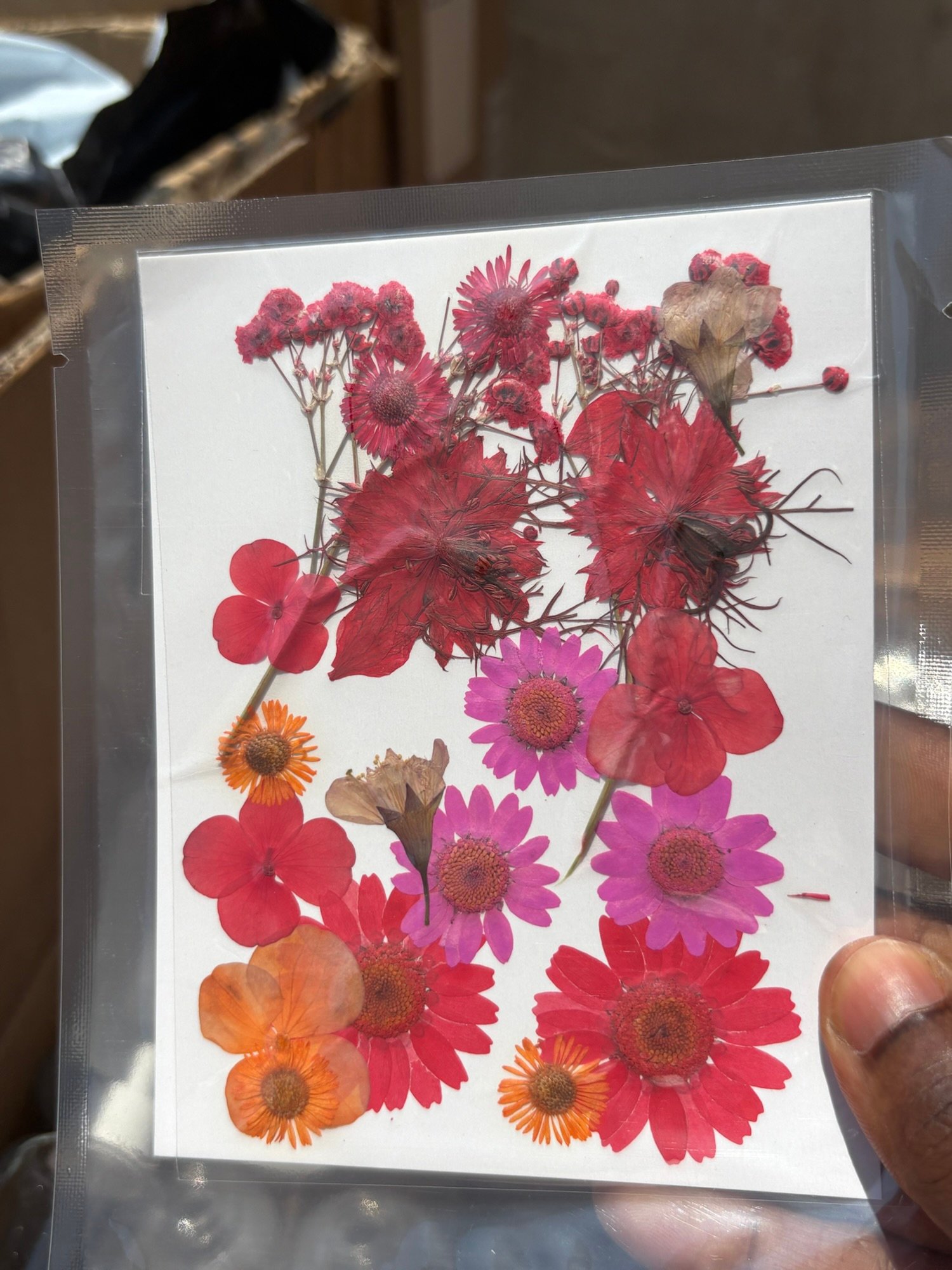 Pressed Decorative Flowers